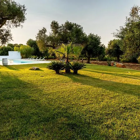 Stelle Di Ferro
